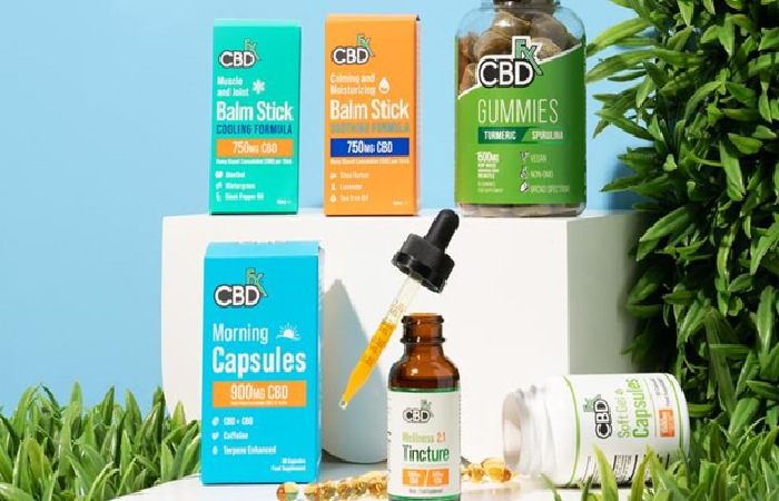 Impact of Technology in the CBD Industry 