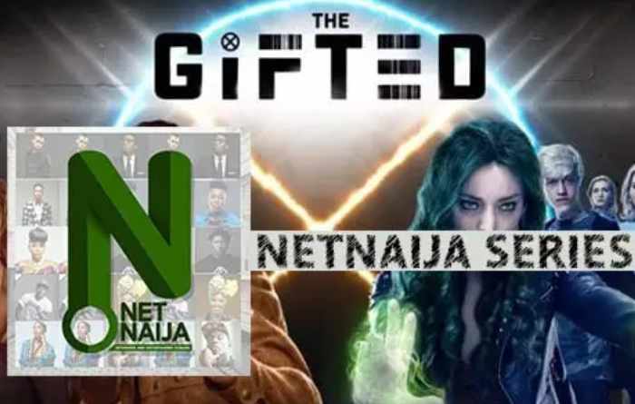 What is Netnaija.com
