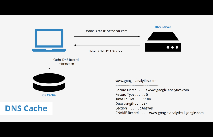 What Is The DNS Cache_