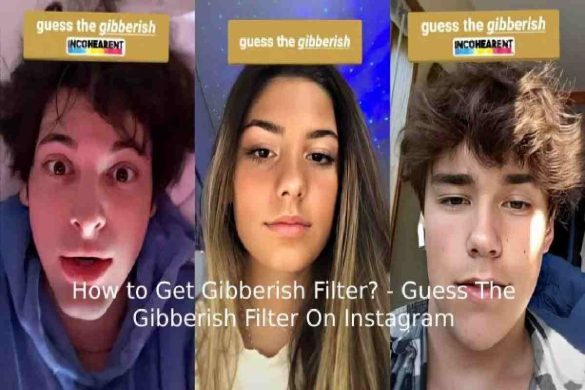 How to Get Gibberish Filter?