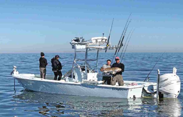 Capt Brock Horner Tarpon Coast Fishing Charters Reviews
